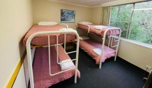 Postel nebo postele na pokoji v ubytování Parklane Motel