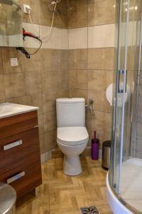 a bathroom with a toilet and a shower at Apartament w Karkonoszach Stary Młyn in Kowary