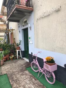 Jízda na kole v ubytování MAISON44 nebo okolí