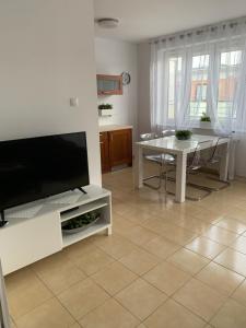 Televízia a/alebo spoločenská miestnosť v ubytovaní Apartament Halina