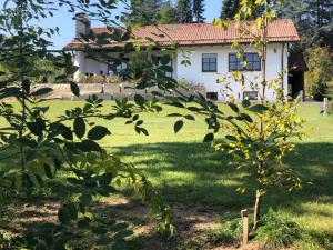 uma casa no fundo com uma árvore no primeiro plano em Landhaus Finest em Altdorf bei Nuernberg