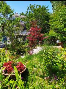サロにあるVilla Luna Lombardaの草花鉢2本の庭園