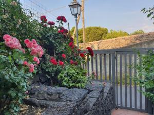 un giardino con rose e recinto e un lampione di Villa Martina a Mascalucia