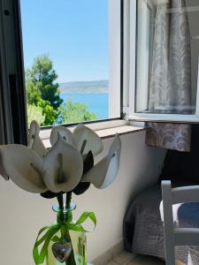 un vaso con un fiore davanti a una finestra di Villa Marijana-Direktno na moru a Seline