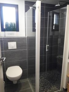 a bathroom with a toilet and a glass shower at La Cabane Manon in La Guérinière +9 photos