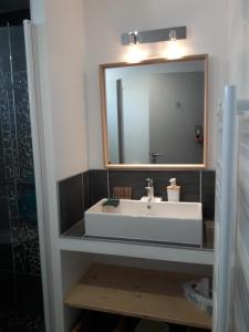 a bathroom with a sink and a mirror at La Cabane Manon in La Guérinière +7 photos