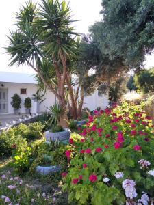 ロダキノにあるGolden Sun Apartmentsのギャラリーの写真