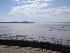 a flock of seagulls on a fence near the water at Parasol Weston Guest House in Weston-super-Mare