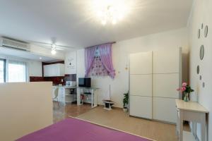 Kuchyňa alebo kuchynka v ubytovaní Apartment Soleil