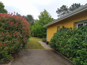 a house with two hedges in front of it at Villa Maryne in Andernos-les-Bains