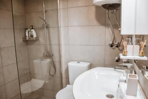 a bathroom with a shower and a toilet and a sink at Sojenica Ivona in Ulcinj