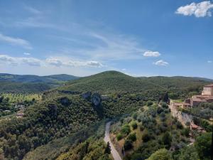 an aerial view of a valley with trees and a road at Guest House Piazza Marconi in Amelia