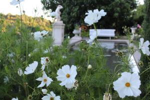 ヴァロンソルにあるシャトー デュ グラン ジャルダンの白花の畑