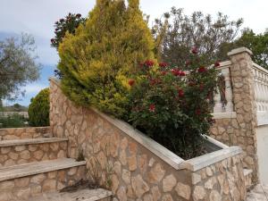 A garden outside Casa de Pascual