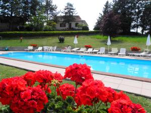 a swimming pool with red flowers in front of it at Aurora in Gubbio
