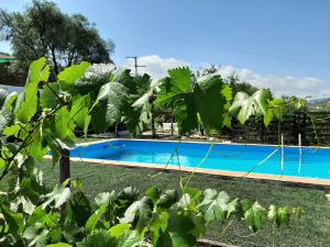 Basen w obiekcie Vivienda Rural Maestro Herrador lub w pobliżu
