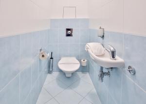 フルボカー・ナト・ヴルタヴォウにあるLH Parkhotel Hluboka Nad Vltavouのバスルーム(トイレ、洗面台付)