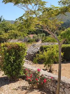 a garden with flowers and a tree and bushes at Afales View in Vathi