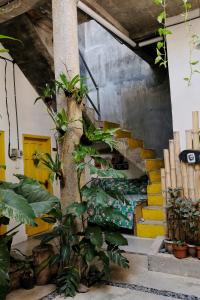 un escalier avec des plantes dans une pièce avec des marches jaunes dans l'établissement Banana Homestay, à Banyuwangi