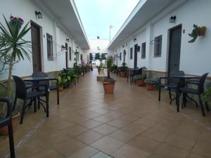 Fotografie z fotogalerie ubytování Hostal El Canario v destinaci Conil de la Frontera