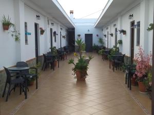 Restaurace v ubytování Hostal El Canario