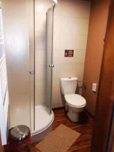 a bathroom with a toilet and a glass shower at Senec vilka na jazere in Senec