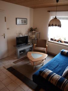 ein Wohnzimmer mit einem blauen Sofa und einem TV in der Unterkunft Ferienwohnung Drechsel in Olbernhau