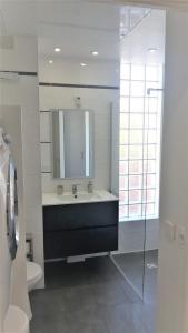 a bathroom with a sink and a mirror and a toilet at Studio Villa Emilie in Cagnes-sur-Mer