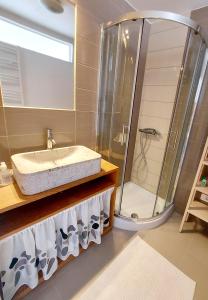 La salle de bains est pourvue d'un lavabo et d'une douche. dans l'établissement Apartma Kras, à Komen