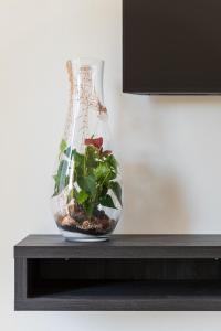 un jarrón con una planta en él sentado en una mesa en Residence Renadoro, en Cervia