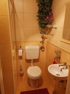 a bathroom with a toilet and a sink at Viktor Vendégház in Tokaj +13 photos