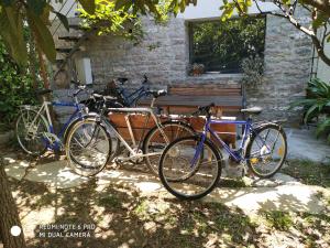 een groep fietsen geparkeerd naast een bankje bij Apartments Simovic in Tivat