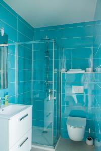 La salle de bains bleue est pourvue de toilettes et d'une douche en verre. dans l'établissement Une chambre à l'Economat, à Bordeaux