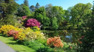 un giardino con fiori colorati e un laghetto di Dairy Cottage with sea views a Girvan