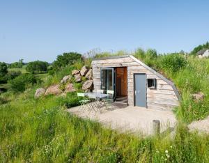 une petite cabane en bois dans un champ d'herbe dans l'établissement Domaine de l'Ours / Camping Lodge, à Saint-Urcize