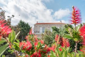 Zahrada ubytování Guesthouse Kamarin