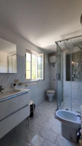 ein Bad mit einem Waschbecken, einer Dusche und einem WC in der Unterkunft Il Ruscello in San Severino