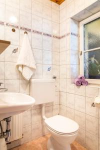a bathroom with a toilet and a sink at Appartement Reitlhof, Bio Berg Bauernhof in Krispl