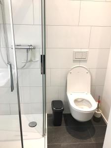a bathroom with a toilet and a shower at Ferienwohnung Schaffhausen 1989 - Neubau, Free Parking in Schaffhausen