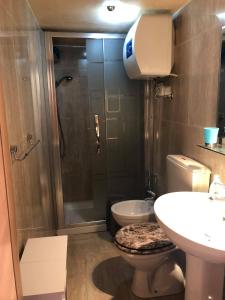 een badkamer met een douche, een toilet en een wastafel bij La Petit Maison Elena in Sanremo