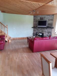 Katy Kellys Countryside Self Catering Cottage في روسكومون: غرفة معيشة مع أريكة حمراء ومدفأة