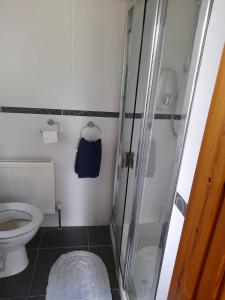 a small bathroom with a shower and a toilet at Katy Kellys Countryside Self Catering Cottage in Roscommon