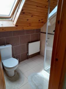 a bathroom with a toilet and a shower at Katy Kellys Countryside Self Catering Cottage in Roscommon