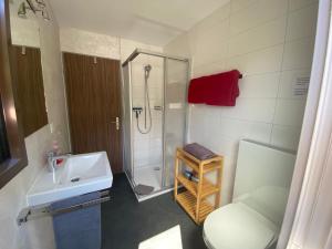 Koupelna v ubytování Apartments Carmena + 37 fotografií