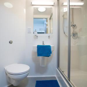 a bathroom with a toilet sink and a shower at Fferm Penglais Apartments in Aberystwyth