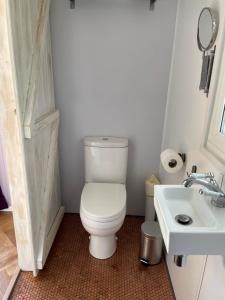 a bathroom with a toilet and a sink at Lilac Tree Hut in Tenby