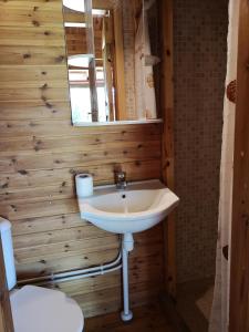 uma casa de banho com um lavatório, um espelho e um WC. em Tika Farmstay em Kõrkvere