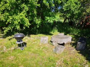 KõrkvereにあるTika Farmstayのギャラリーの写真