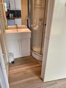 a bathroom with a shower and a sink at Rez de jardin CABOURG in Cabourg