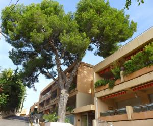 a tree in front of a building at Very Nice studio in city center in Bandol